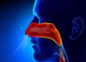 广州中医肿瘤科专家:鼻咽癌早期有哪些明显的信号