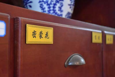 广州哪家中医院治疗乳腺癌好？